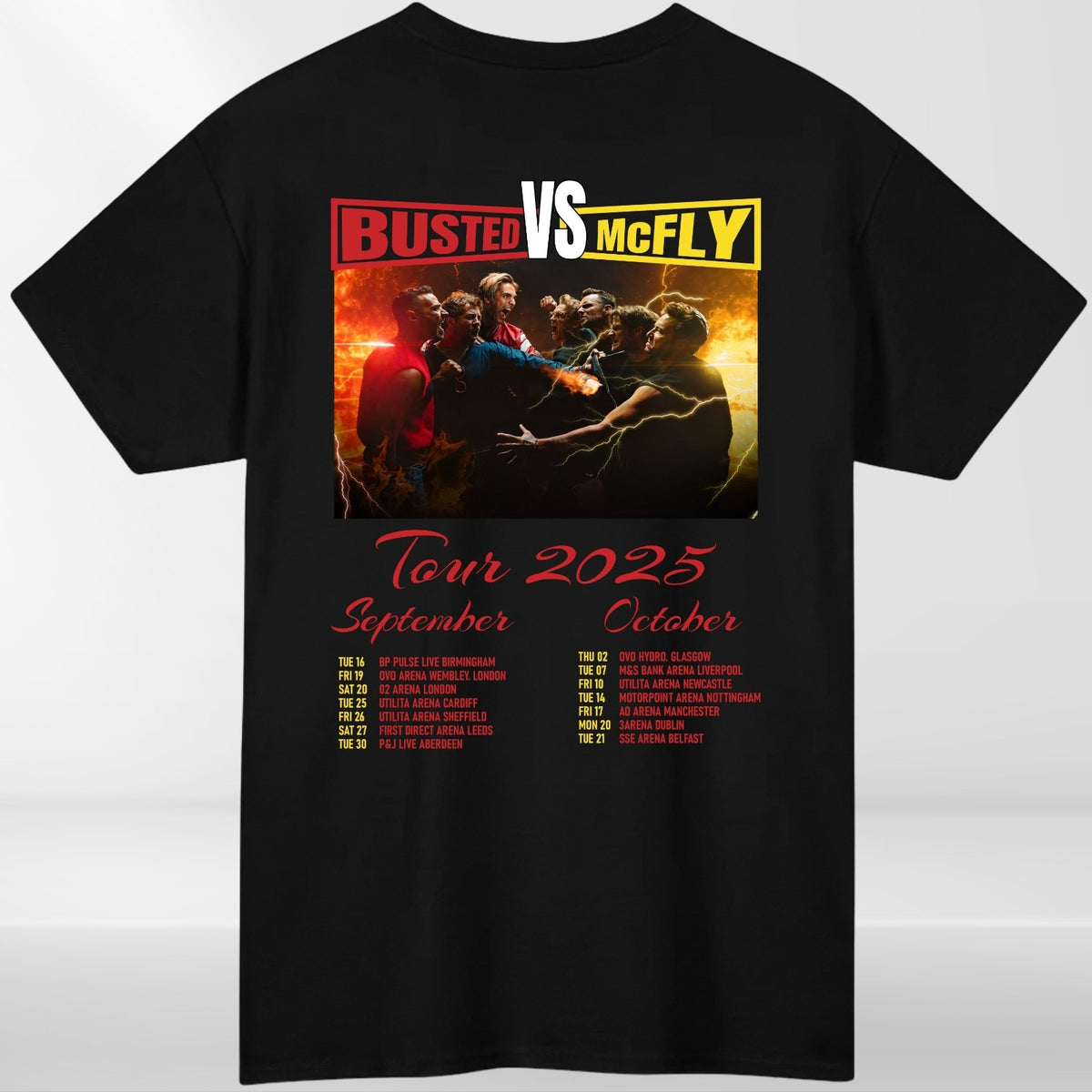 McFly vs Busted Tour 2025 T-Shirt Team McFly Band Front & Back Concert Gift Top