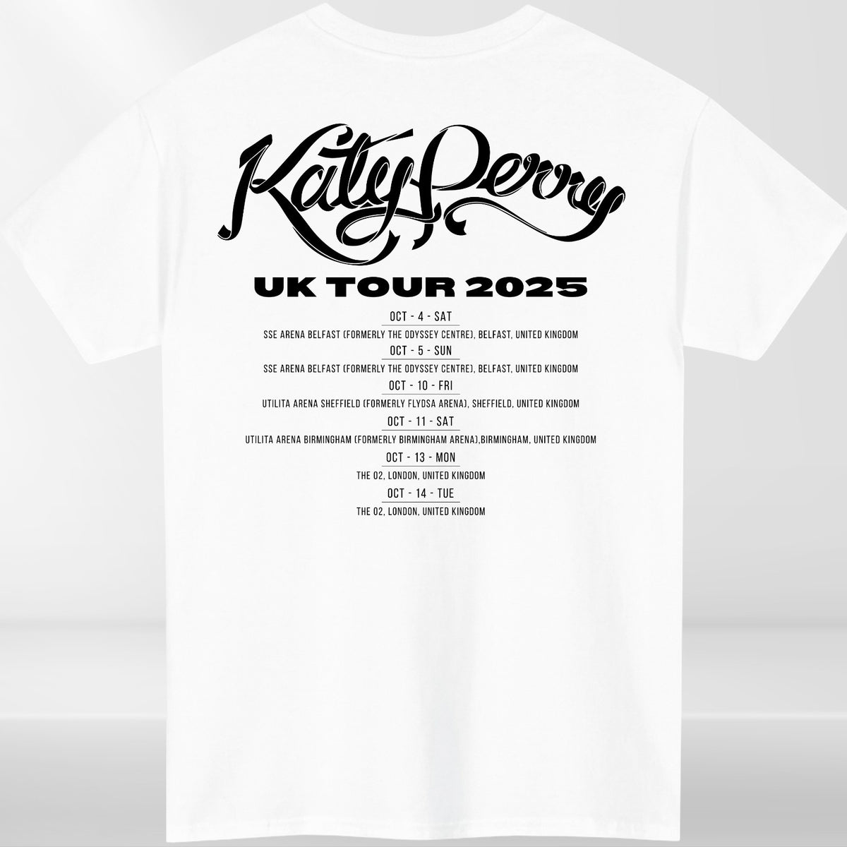 Katy Perry The Lifetimes Tour 2025 Album 3D Unisex T-Shirt